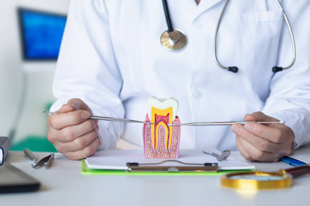 Best After-Hours Dental Trauma Care in Clinton, NC